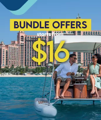 Bundle Offers